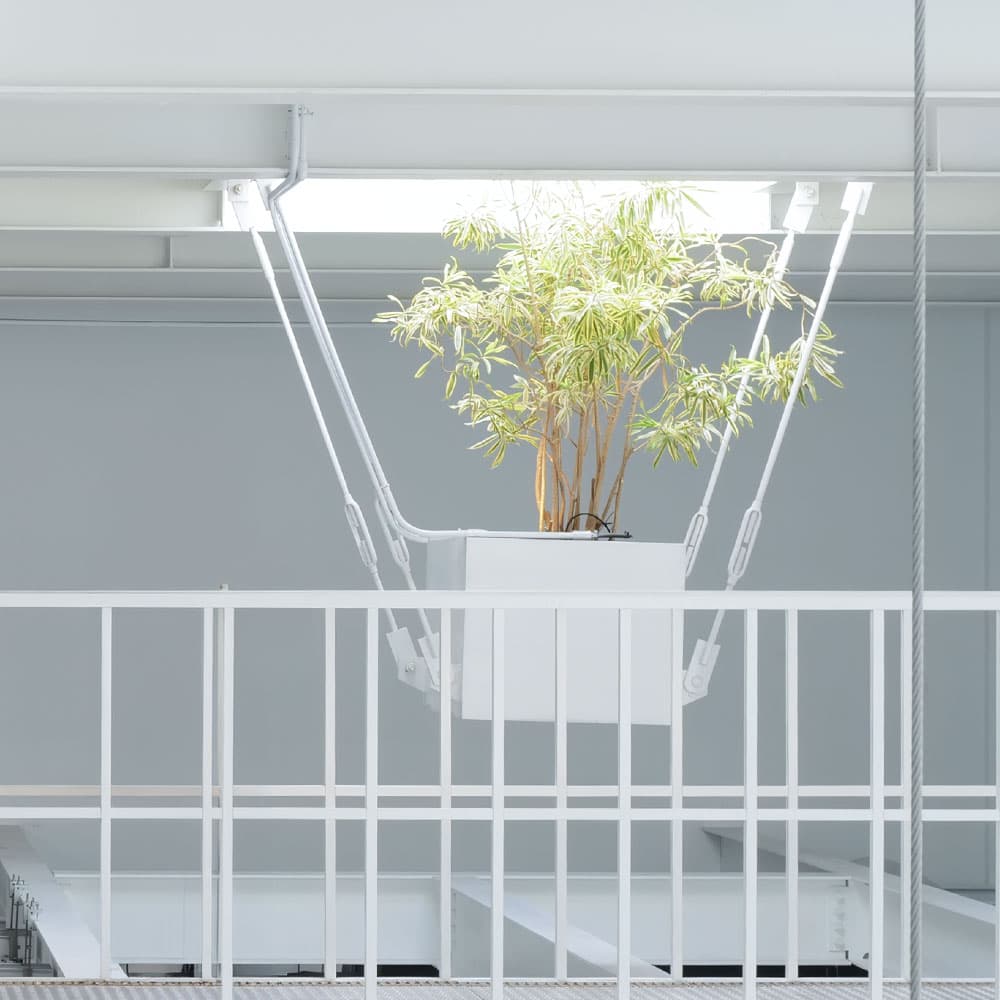 綠色植栽